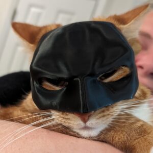 Bat-Cat 3D Printed Cat Mask - Unleash Your Inner Feline Vigilante! - Image 6
